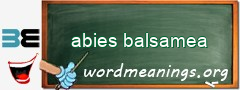 WordMeaning blackboard for abies balsamea